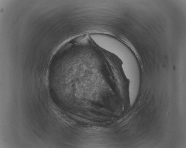 X0000081420387200702092139