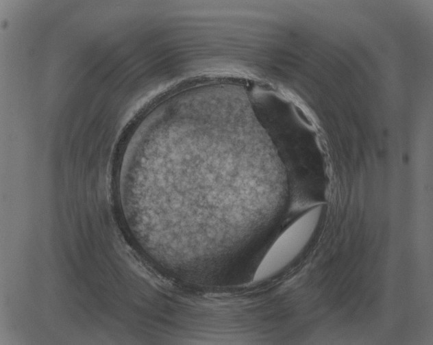 X0000081420391200702092139