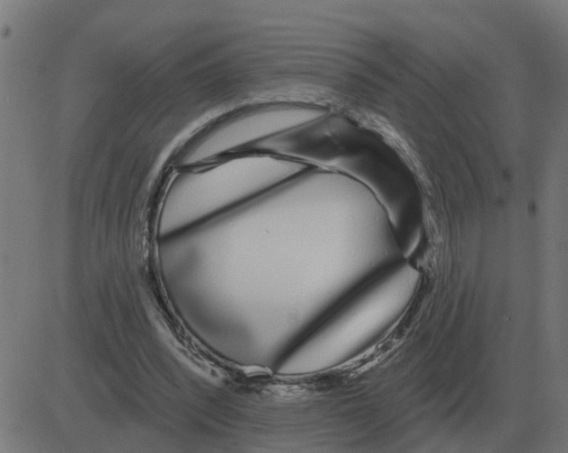 X0000081420392200702092139