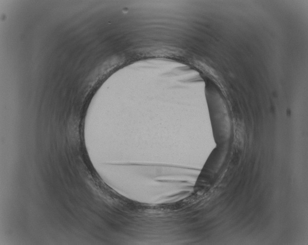 X0000081420394200702092139