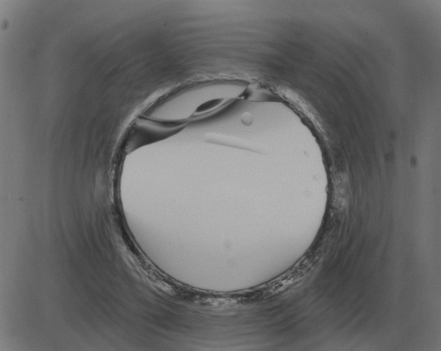 X0000081420395200702092139