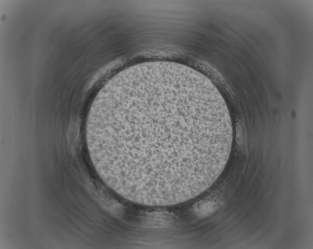 X0000081420396200702092139