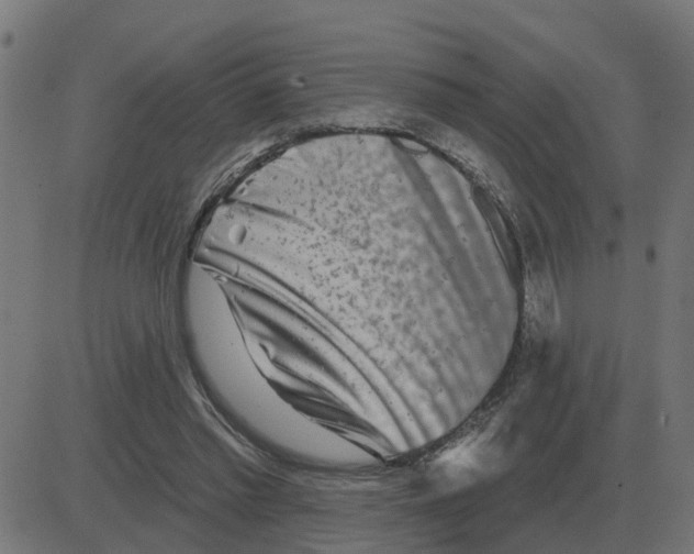 X0000081420397200702092139