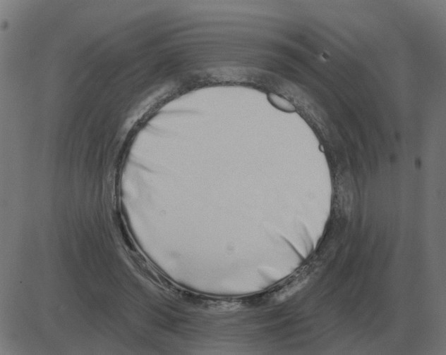 X0000081420398200702092139