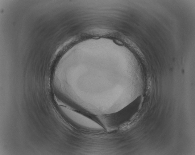 X0000081420399200702092139