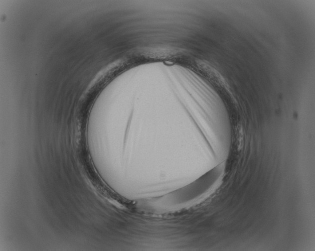 X0000081420400200702092139