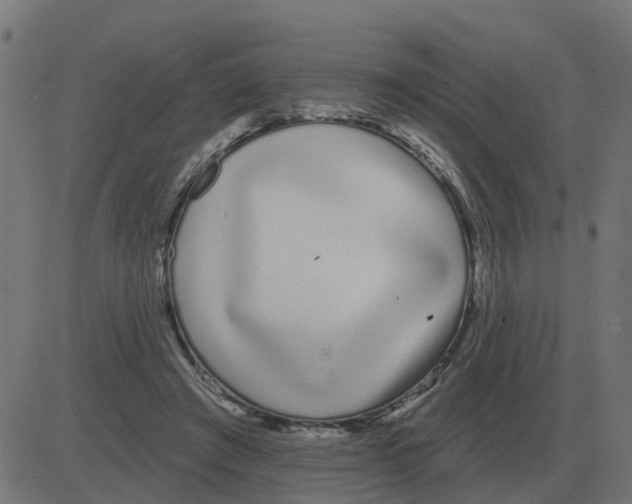 X0000081420401200702092139