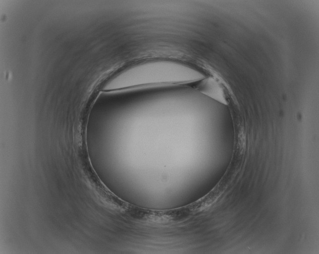 X0000081420403200702092139