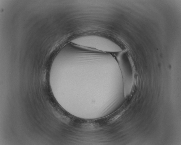 X0000081420404200702092139