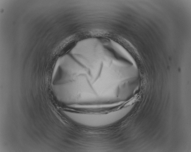 X0000081420405200702092139