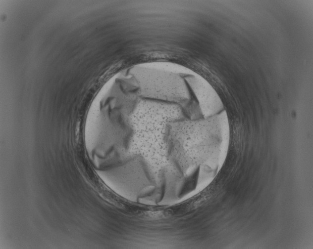 X0000081420406200702092139