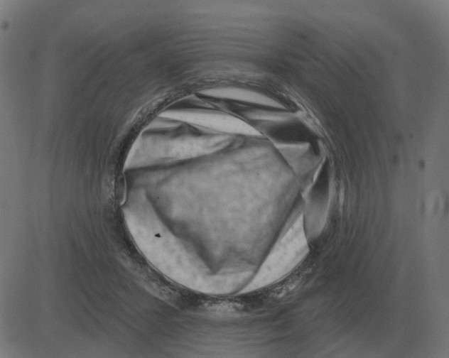 X0000081420407200702092139