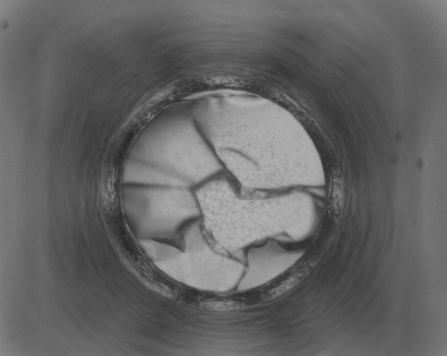 X0000081420408200702092139