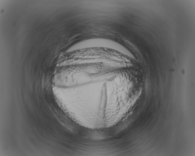 X0000081420409200702092139