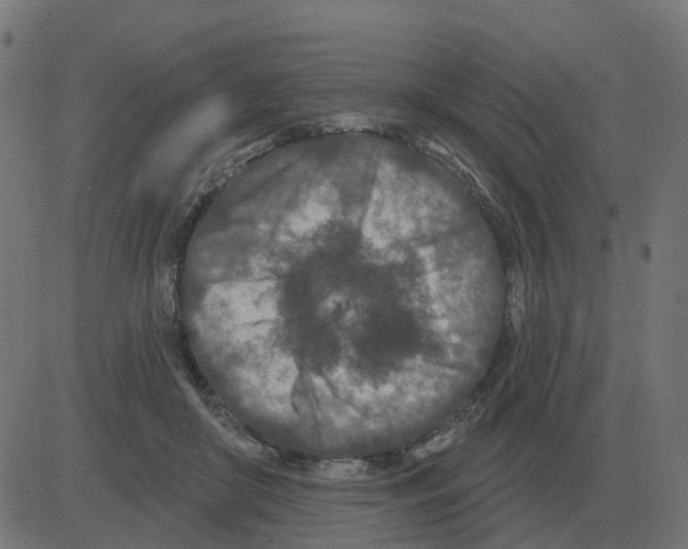 X0000081420410200702092139