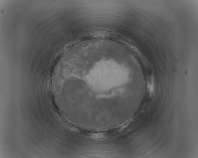 X0000081420411200702092139