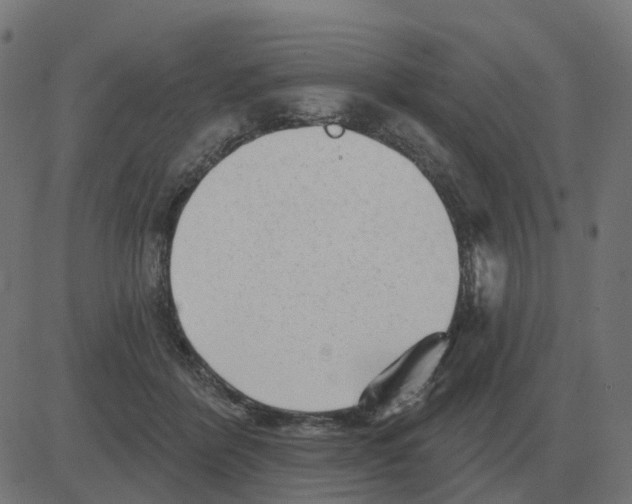 X0000081420412200702092139