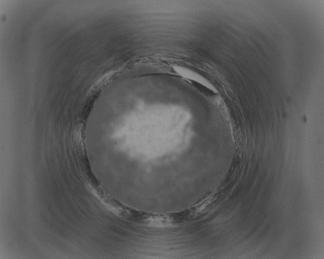 X0000081420415200702092139