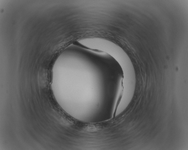 X0000081420416200702092139