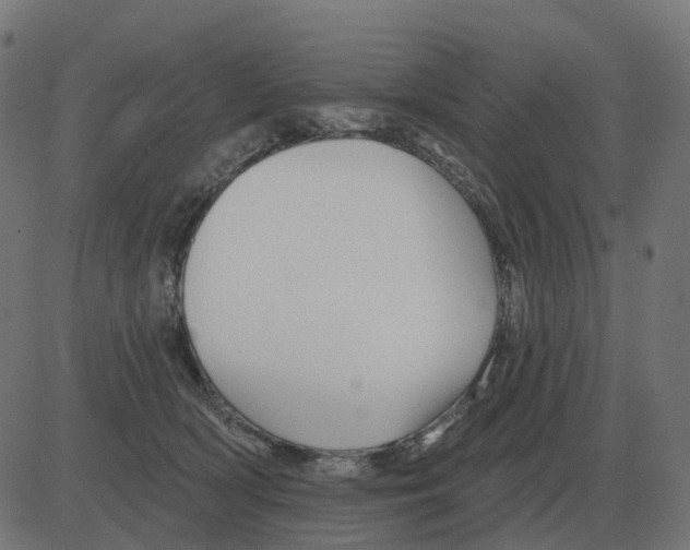 X0000081420418200702092138