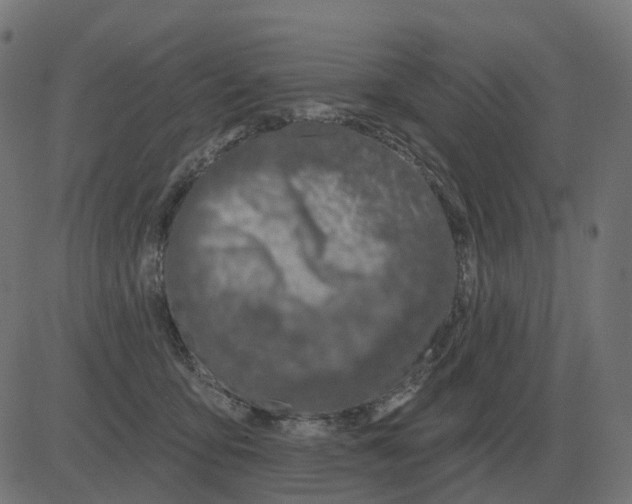 X0000081420419200702092138