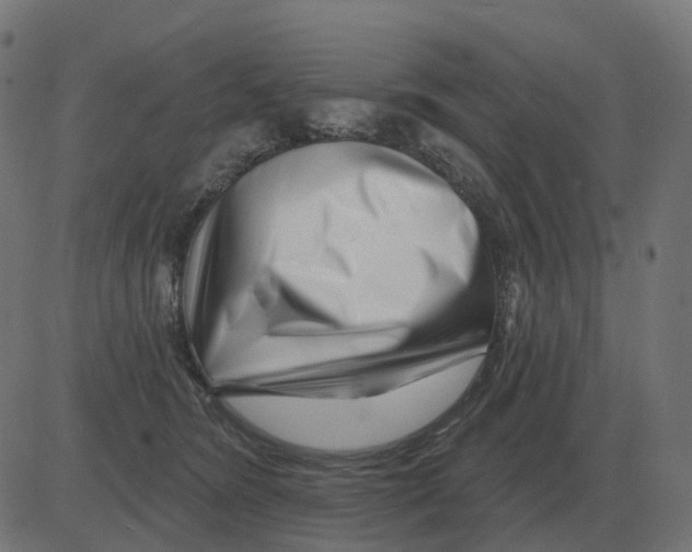 X0000081420420200702092138