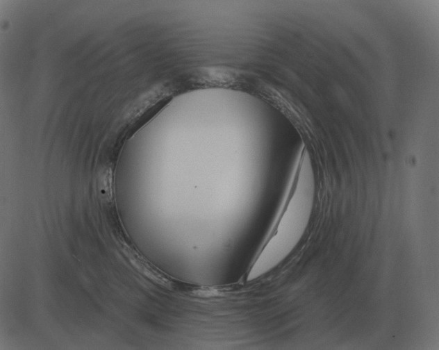 X0000081420425200702092138