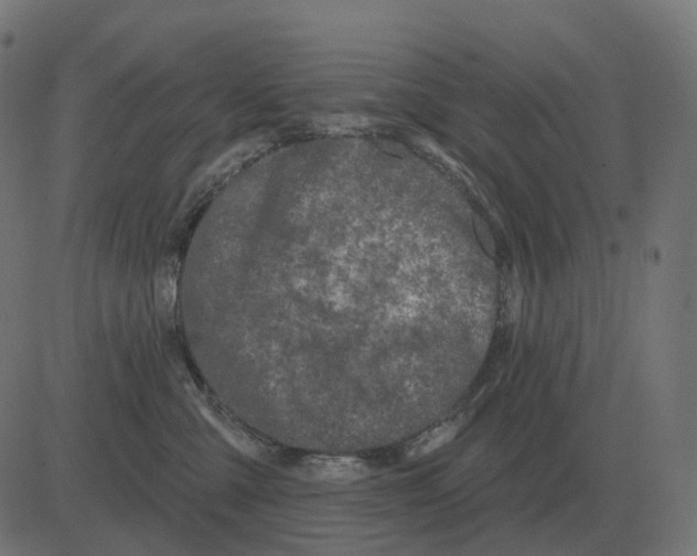 X0000081420427200702092138