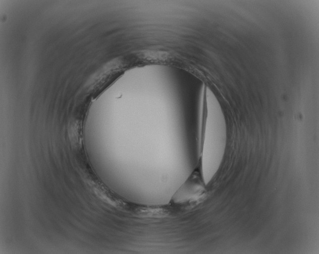 X0000081420428200702092138