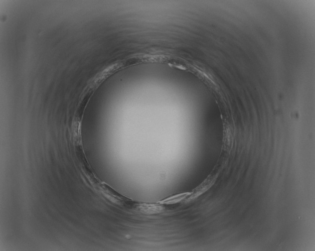 X0000081420429200702092138