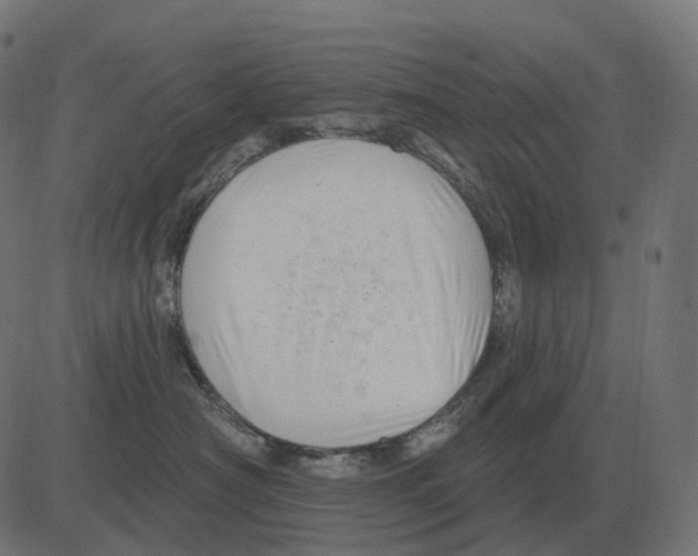 X0000081420430200702092138