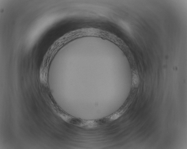 X0000081420431200702092138