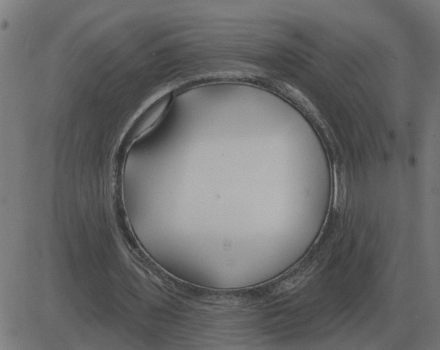 X0000081420435200702092138