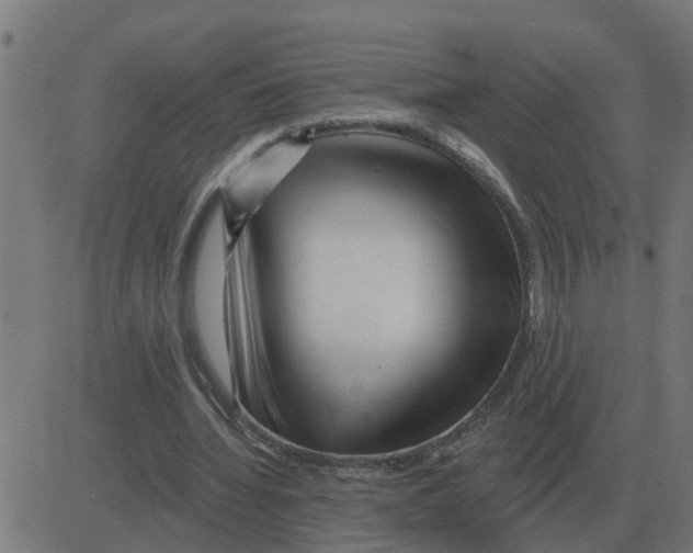 X0000081420436200702092138