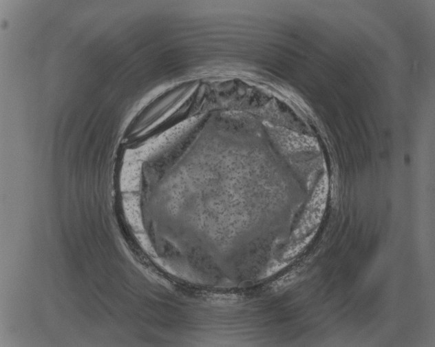 X0000081420438200702092138