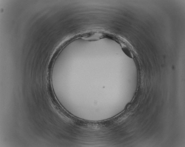 X0000081420439200702092138