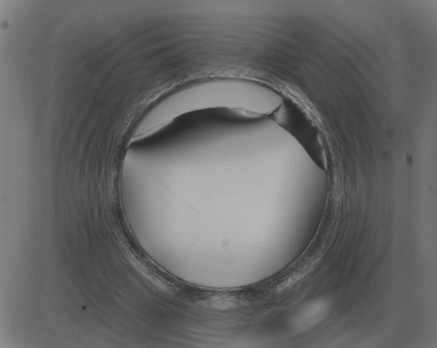 X0000081420441200702092138