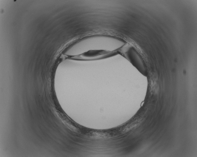 X0000081420442200702092138