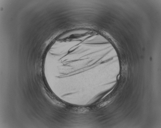 X0000081420443200702092138