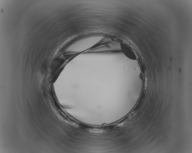 X0000081420444200702092138