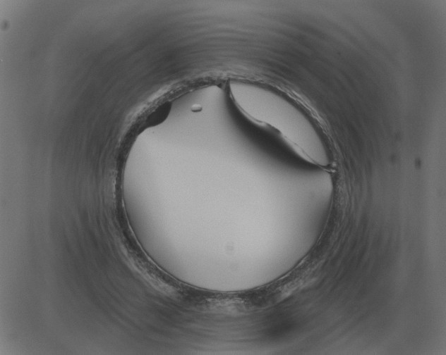 X0000081420446200702092138