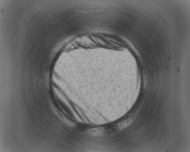 X0000081420447200702092138