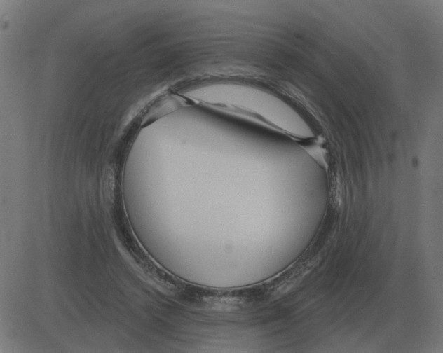 X0000081420448200702092138