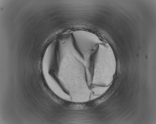 X0000081420449200702092138