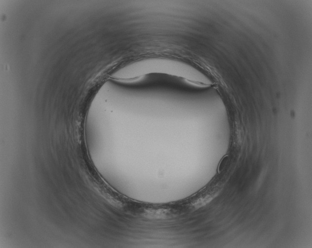 X0000081420450200702092138