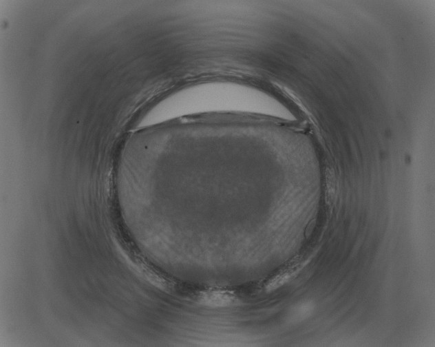 X0000081420451200702092138