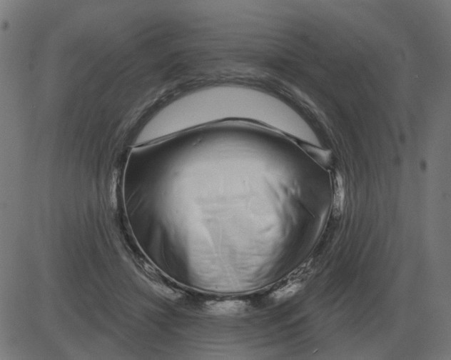 X0000081420452200702092138