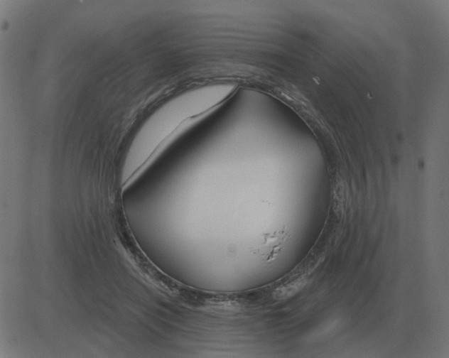 X0000081420454200702092138