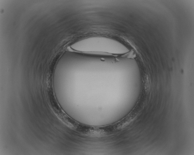 X0000081420455200702092138