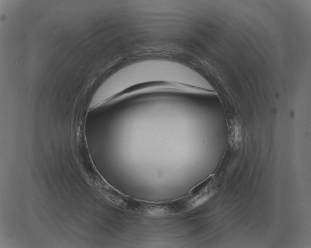 X0000081420456200702092138